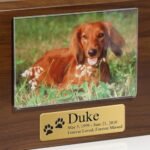 Photo urns for pets