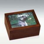 pet photo urns